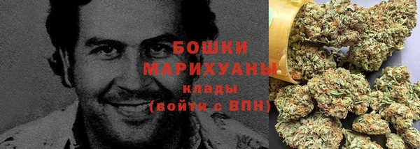 ГАЛЛЮЦИНОГЕННЫЕ ГРИБЫ Балахна
