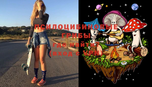 ГАЛЛЮЦИНОГЕННЫЕ ГРИБЫ Балахна