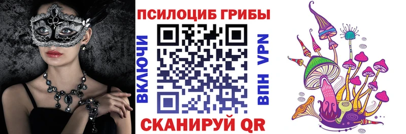 блэк спрут как зайти  Углегорск  Псилоцибиновые грибы Psilocybine cubensis  как найти наркотики 