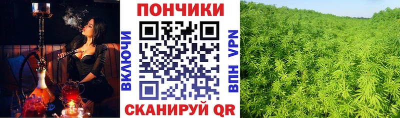 Бошки марихуана SATIVA & INDICA  даркнет сайт  Углегорск 